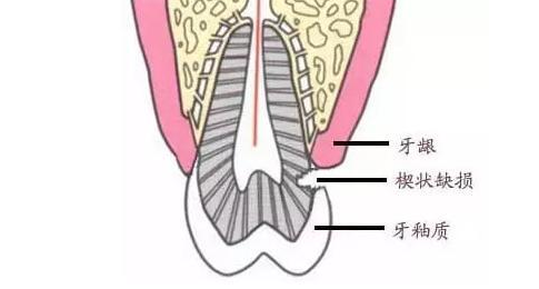 微信图片_20230228182734