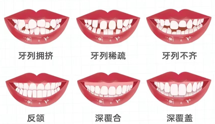 微信图片_20250520102636