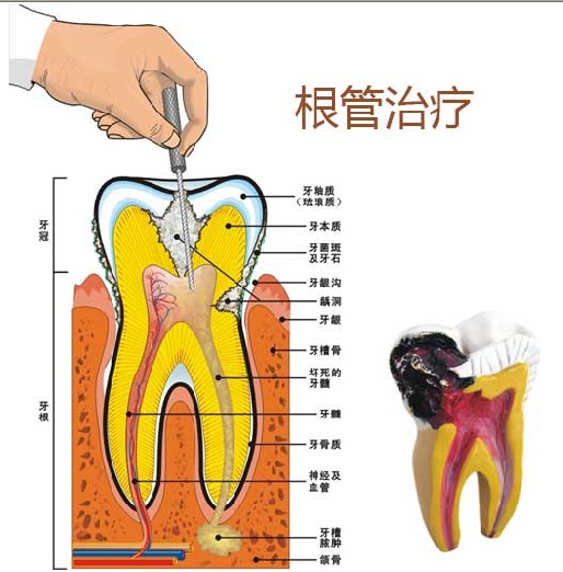 維港口腔杜牙根