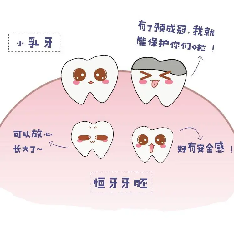 深圳三康预成冠