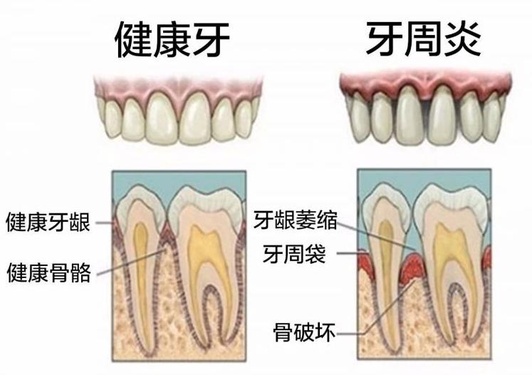 深圳维港三康口腔