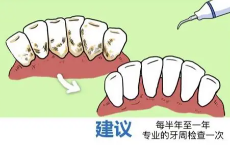 深圳维港口腔 深圳维港口腔