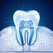 我們的牙齒是什麼時候形成的呢？